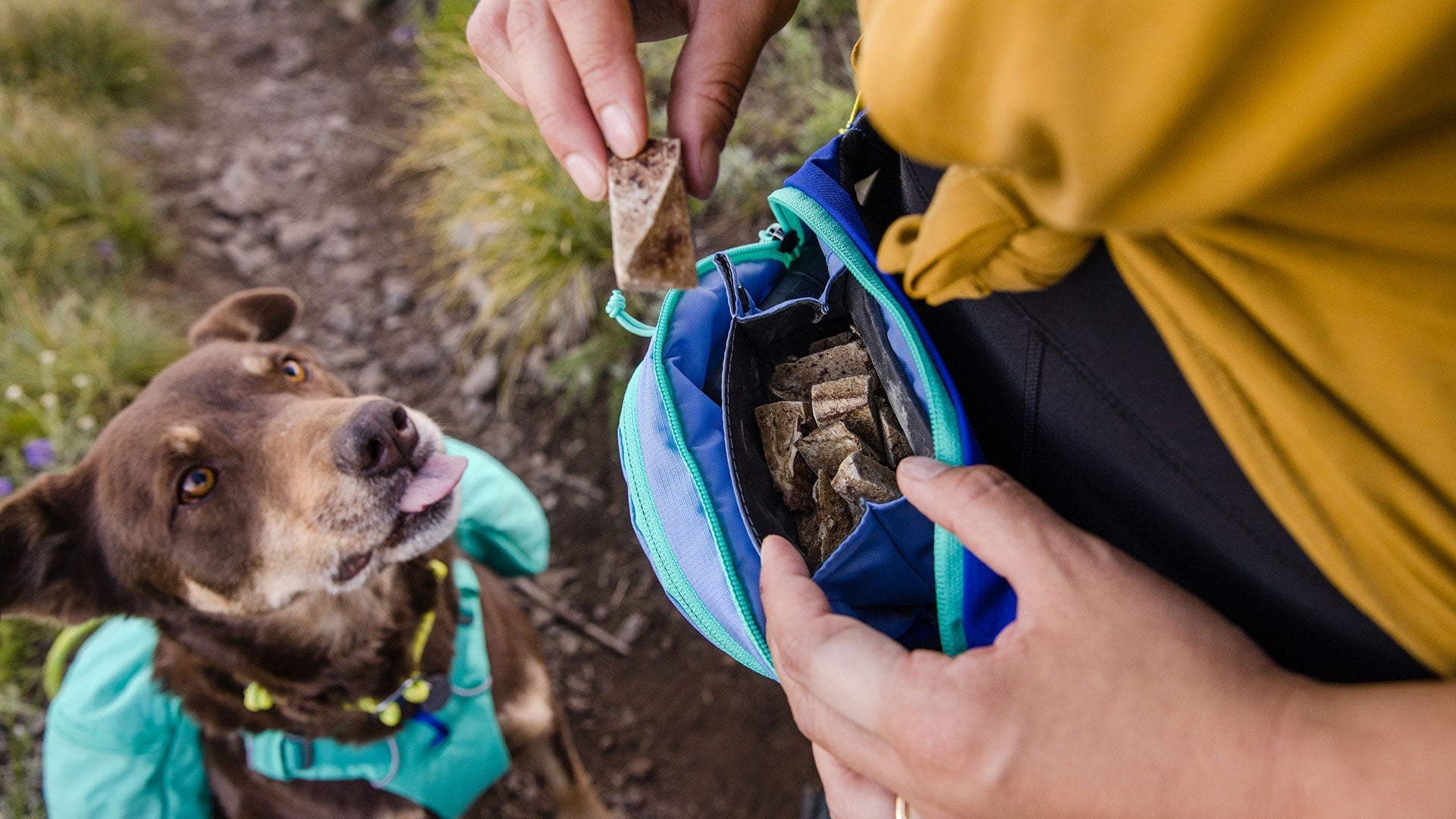 Home Trail Hip Pack Ruffwear