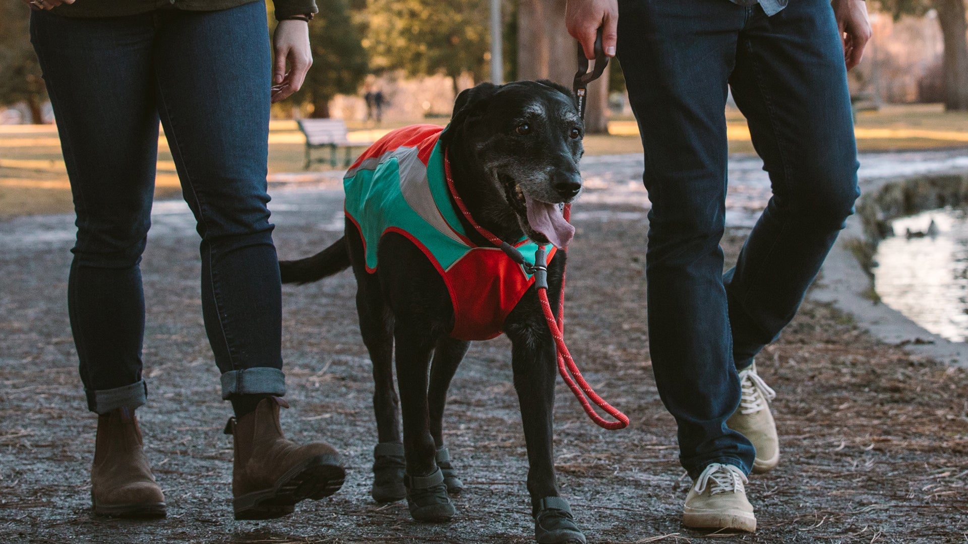 Just a Cinch Slip Lead for Dogs Ruffwear