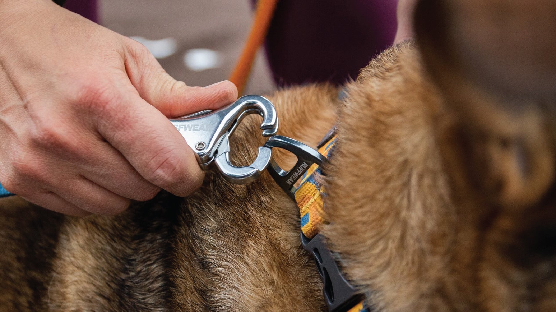 Roamer Bungee Dog Lead with Traffic Handle Ruffwear