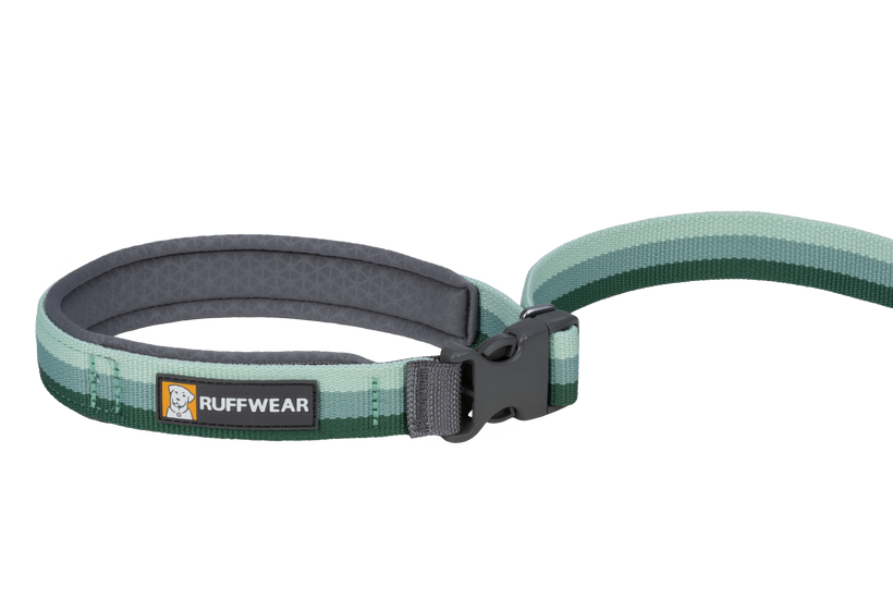 Dog leash with clip apart deals handle