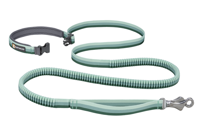 Bungee leash for small dogs outlet