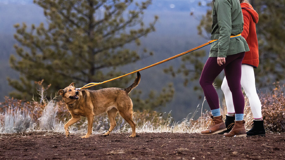 Roamer Bungee Dog Lead with Traffic Handle Ruffwear