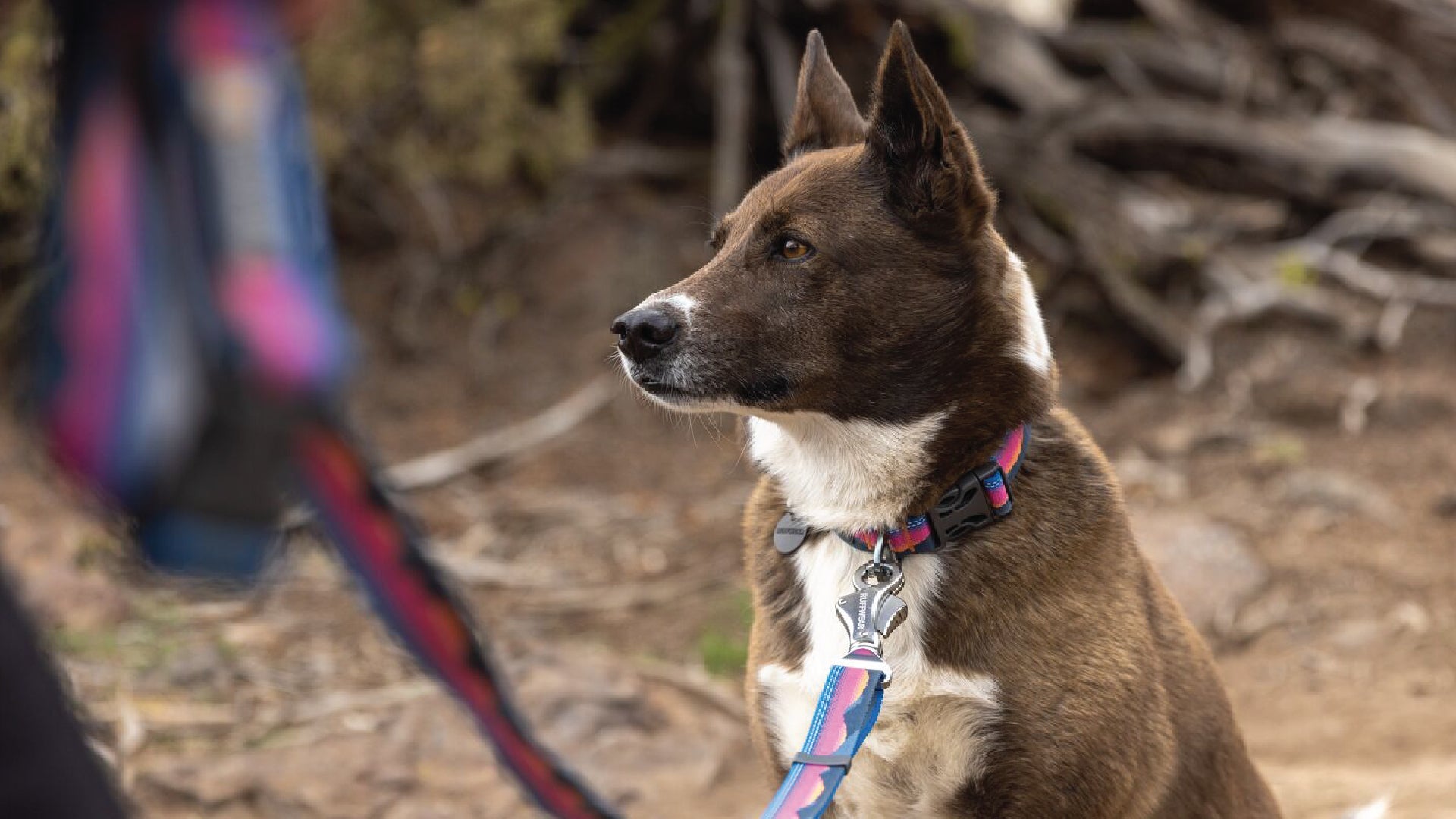 Crag EX Lead Adjustable Reflective Dog Lead Ruffwear