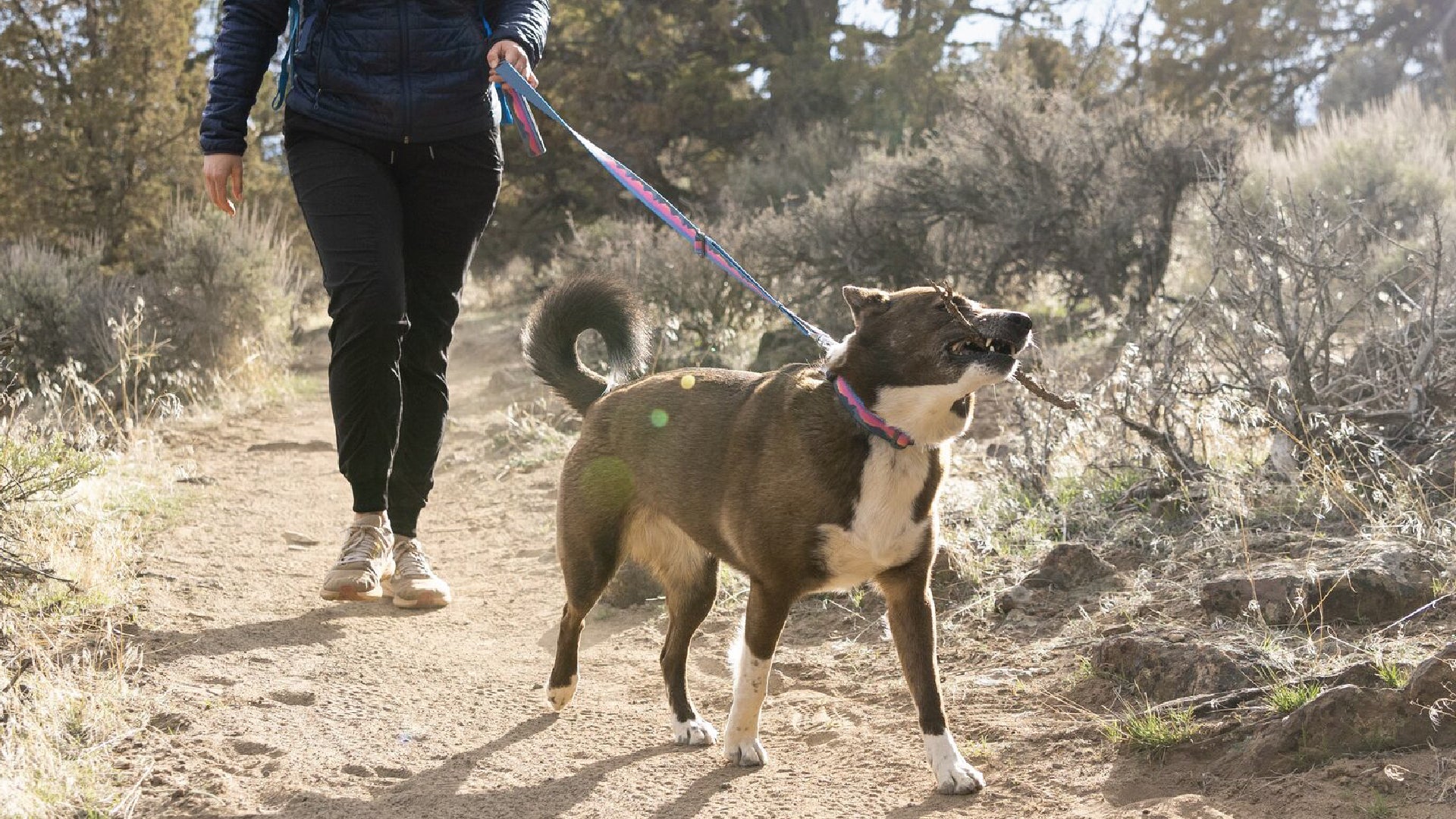 Crag EX Lead Adjustable Reflective Dog Lead Ruffwear