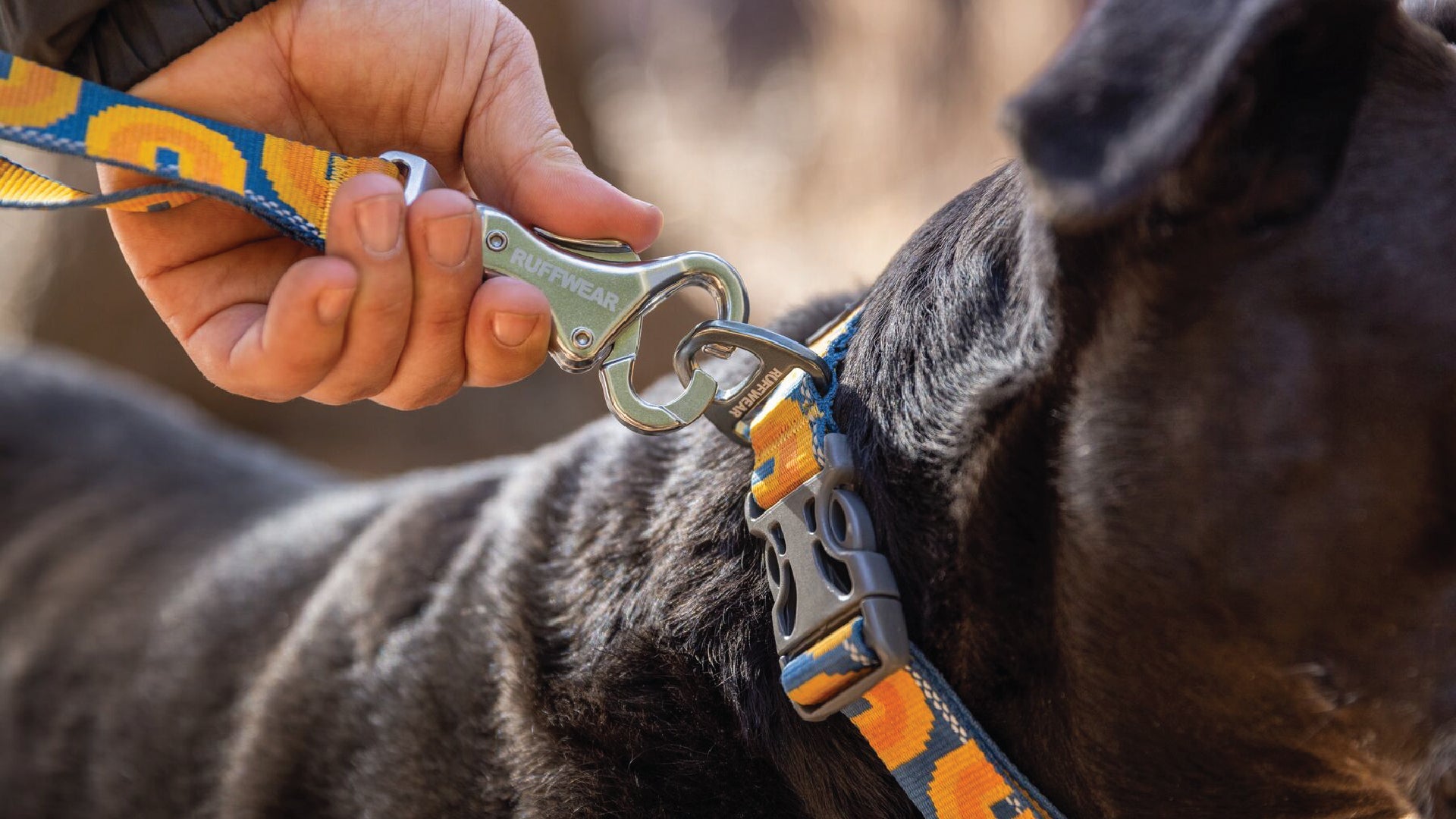 Crag Reflective Dog Lead Ruffwear