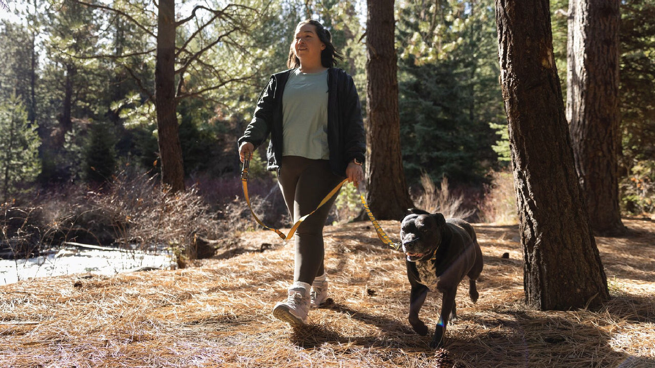 HAND-HELD OR HANDS-FREE