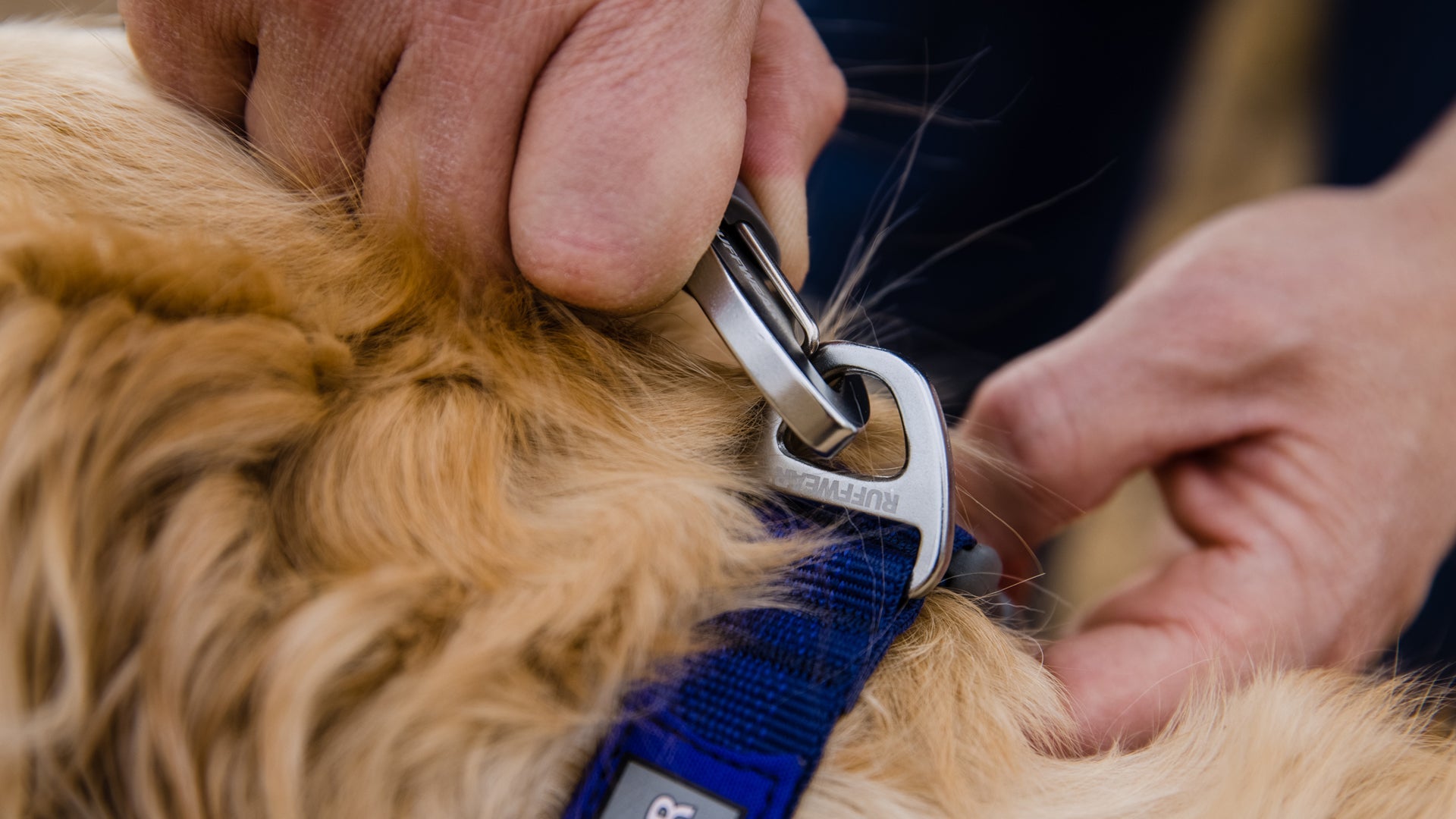 Quick Draw Lead Ruffwear