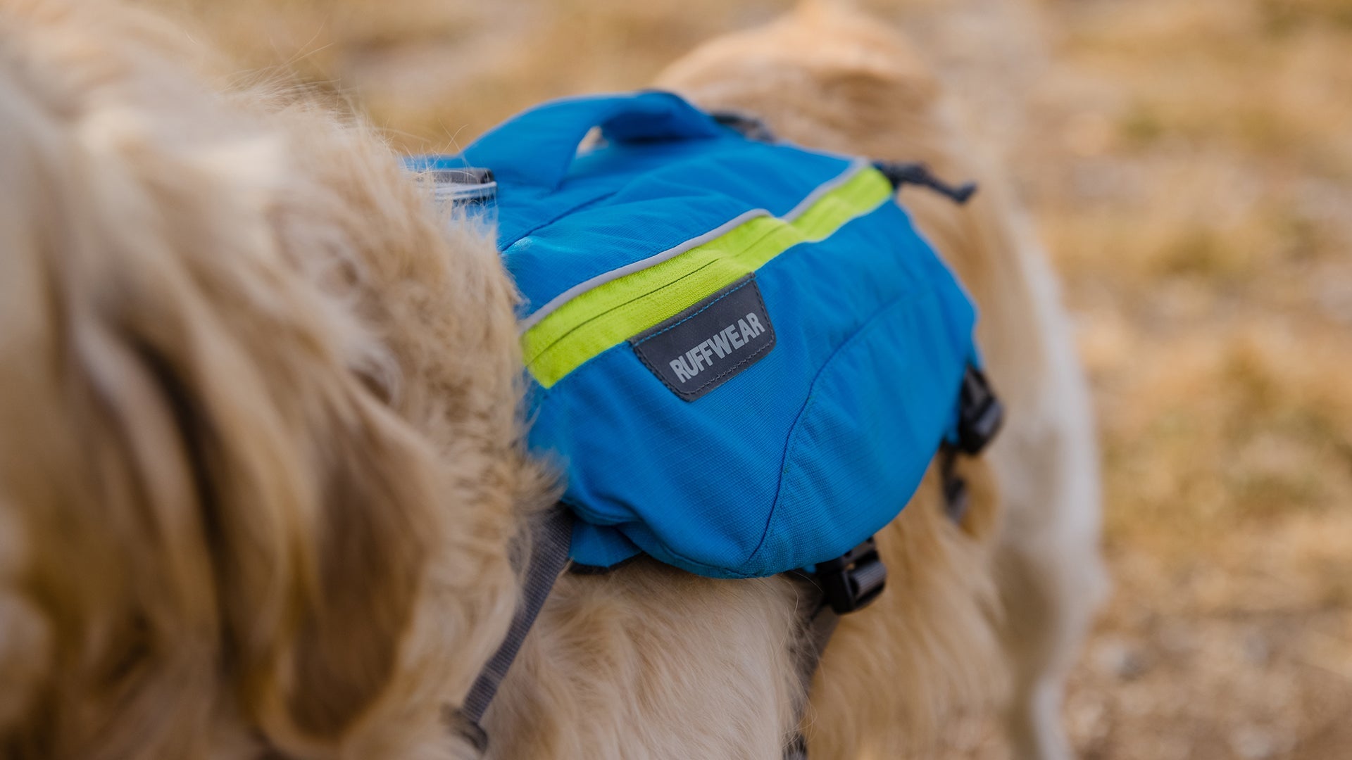 Singletrak Dog Hydration Pack Ruffwear