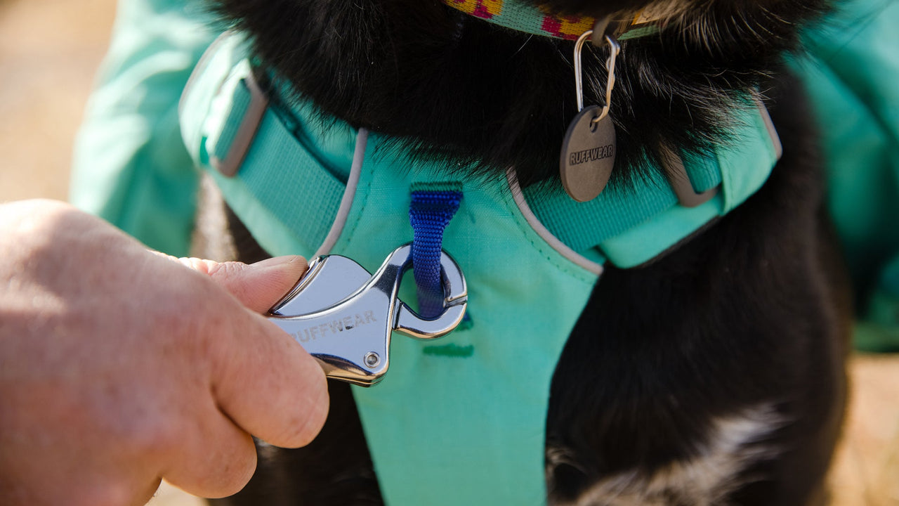 TROIS POINTS D'ATTACHE POUR LA LAISSE