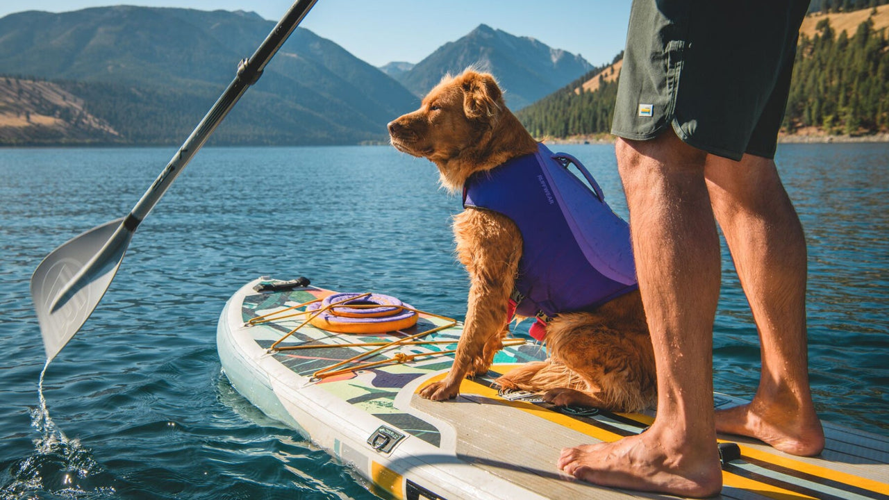 OVERSIZED, EASY TO PICKUP