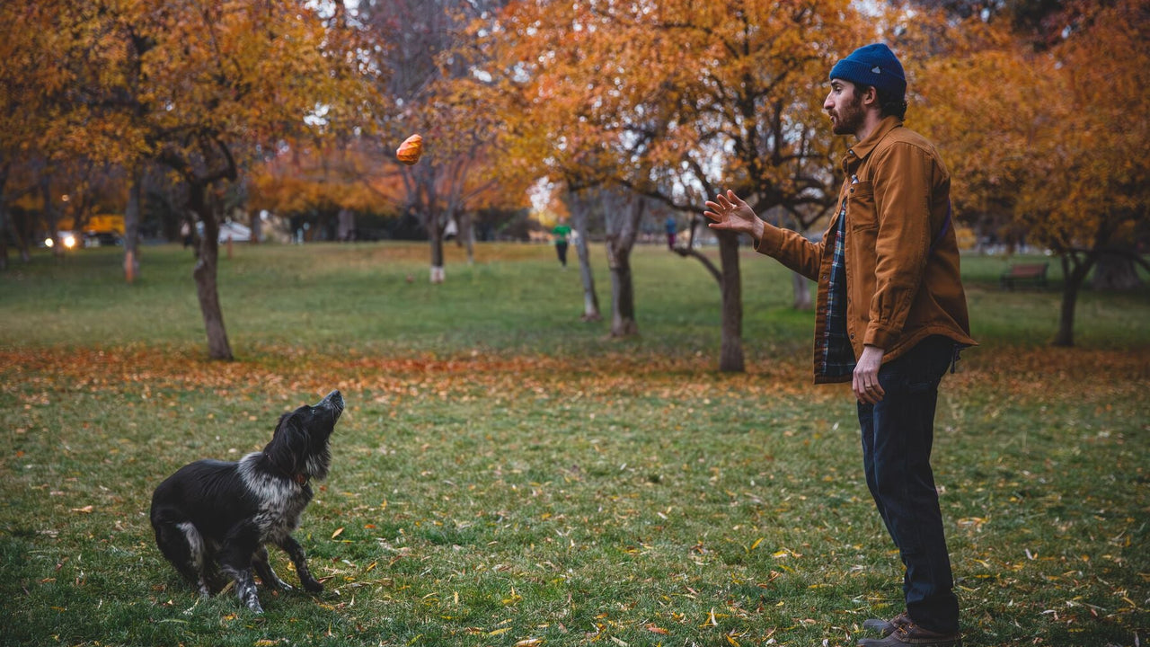UNREGELMÄSSIGER ABSPRUNG
