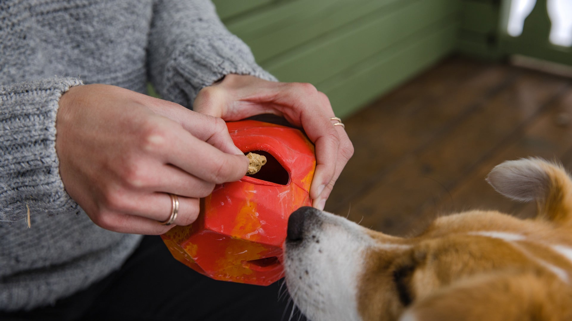 Gnawt a Rock Ruffwear