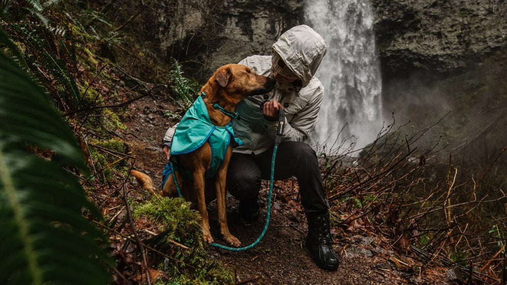 À propos du Knot-a-Collar™ Video Thumbnail