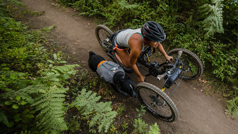 About: The Switchbak™ Harness Video Thumbnail