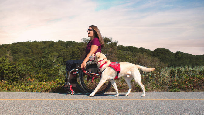 Woman in wheelchair rolls along path with dog in access ID vest at her side.