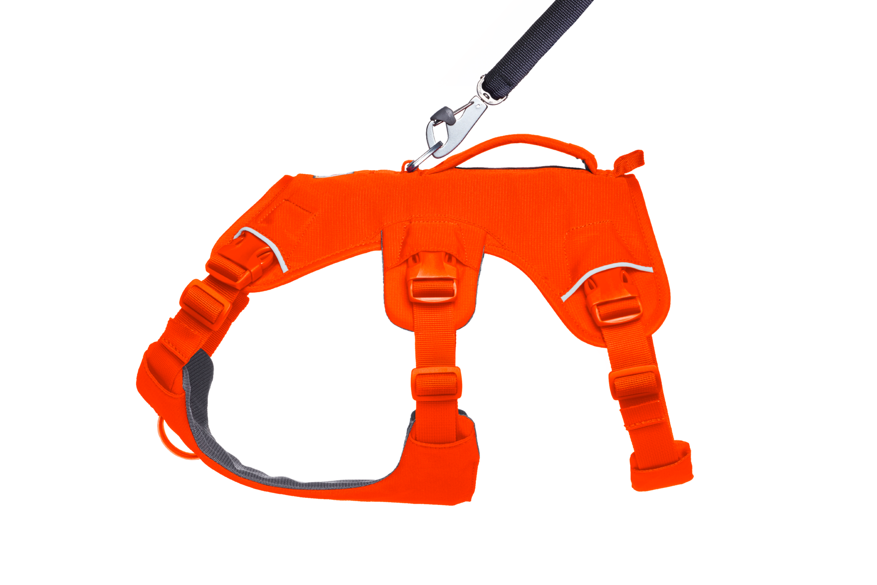 Web Master™ Dog Harness with Handle | Ruffwear UK