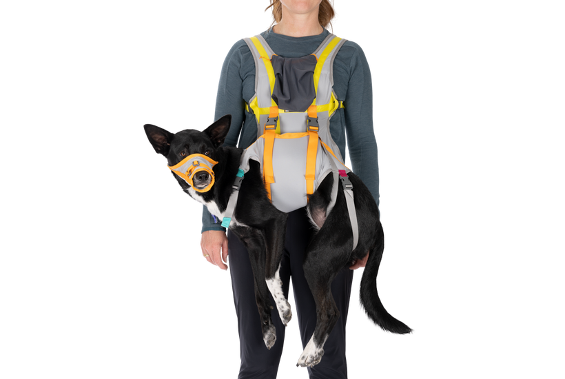BackTrak Dog Sling Carrier Evacuation Kit Ruffwear
