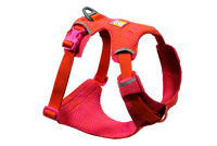 Front Range® Flex Geschirr Rose Violet (670)