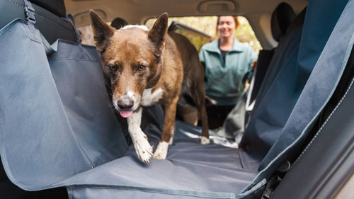 Shop nach Kollektion