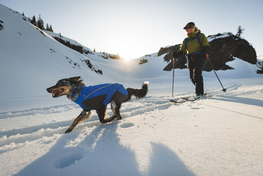 À propos de la combinaison Vert™ Video Thumbnail