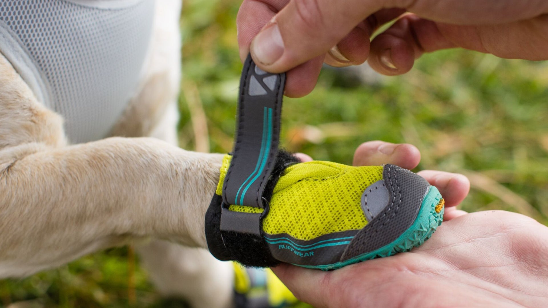 Dog booties 2024 for swimming