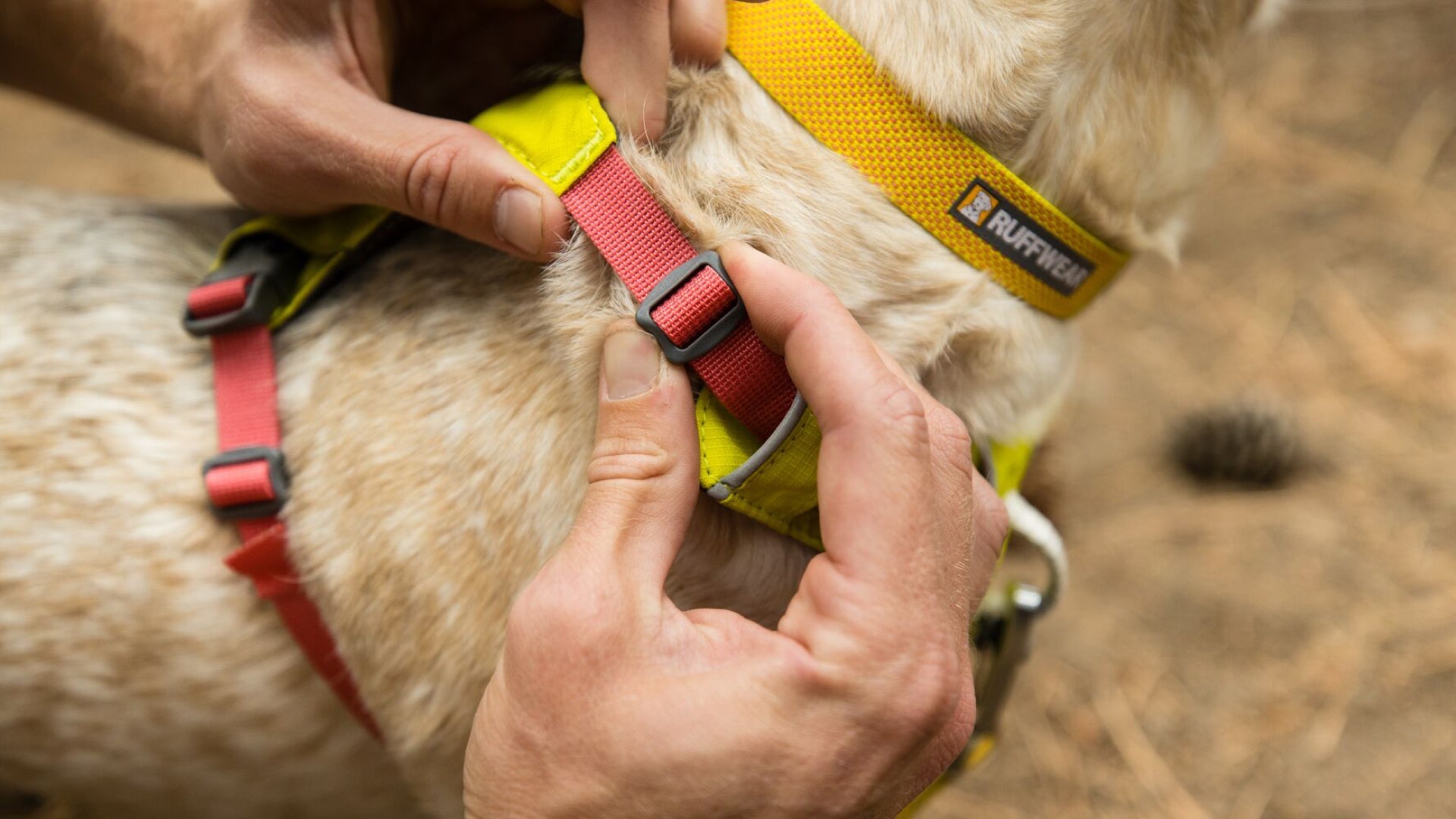 Hi Light Lightweight Dog Harness Ruffwear