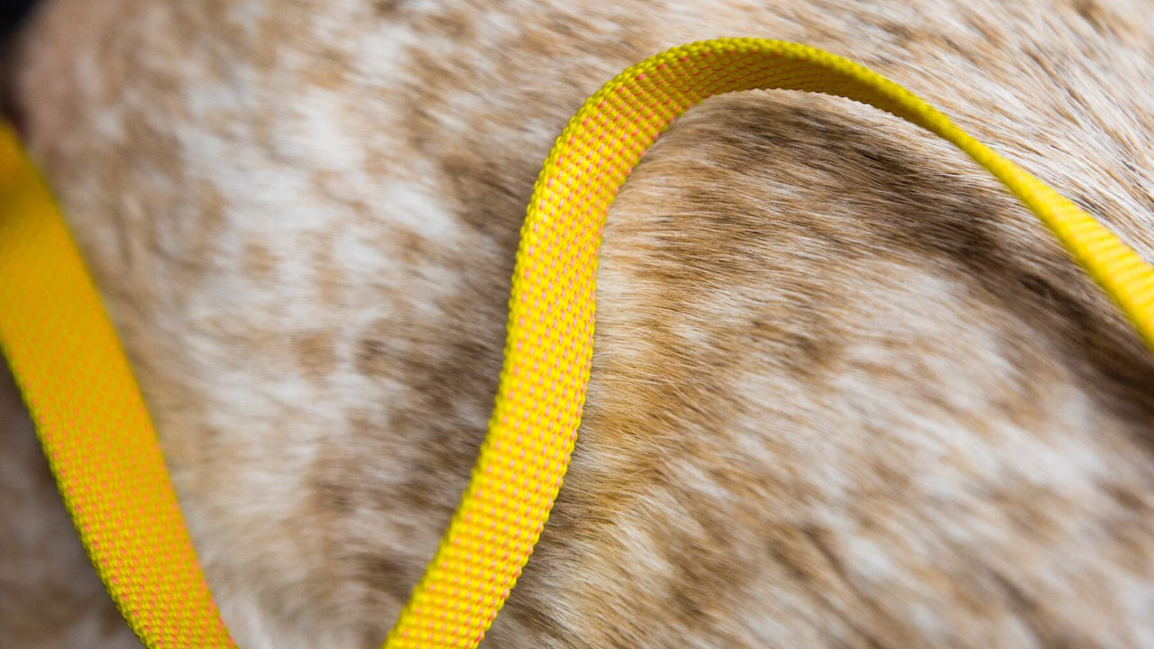 SANGLE LÉGÉRE ET SOLIDE