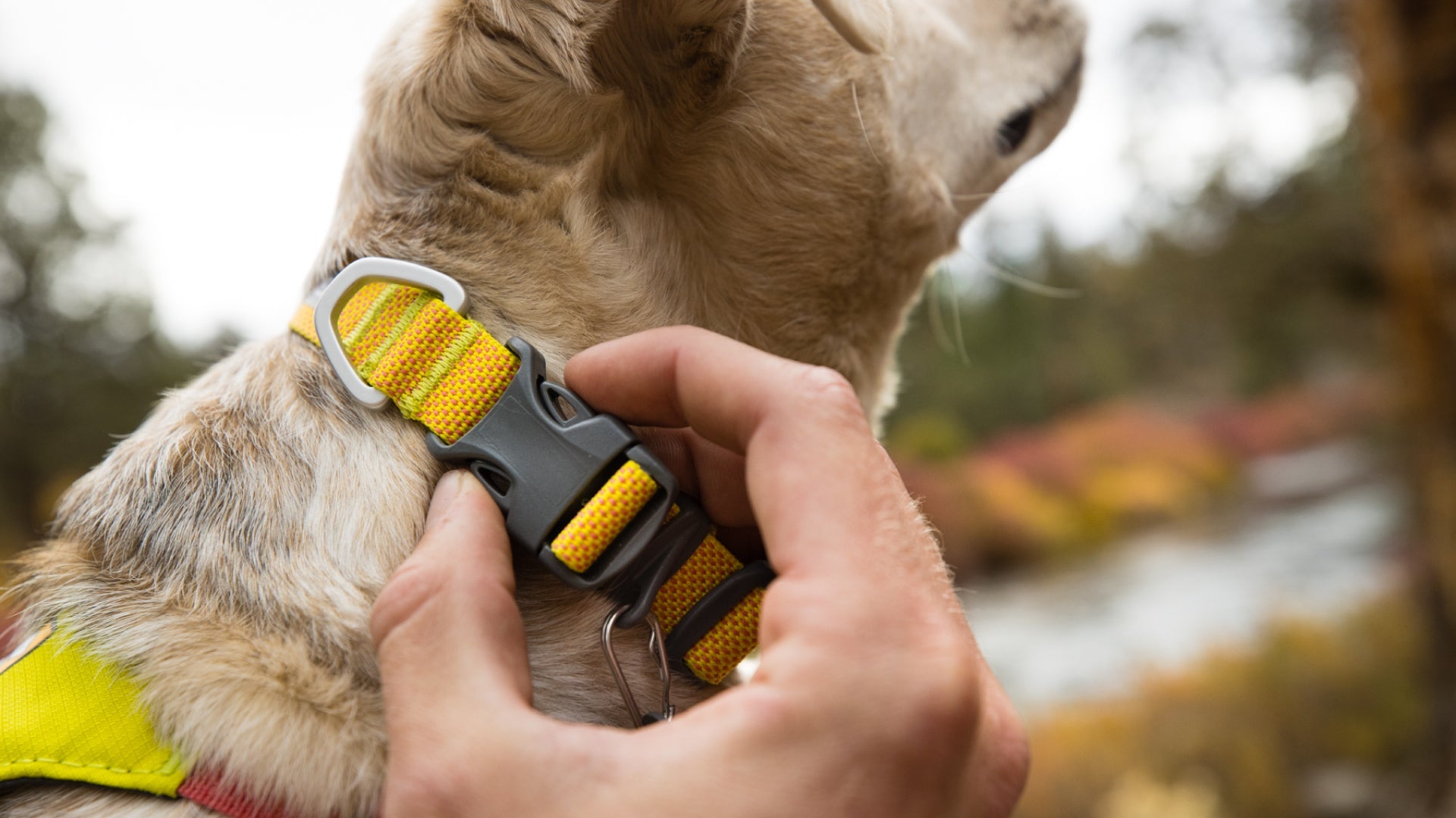 Hi Light Lightweight Dog Collar Ruffwear