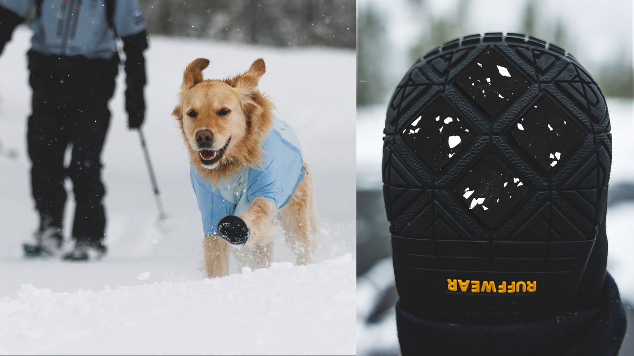 Crampons d'adhérence hivernale