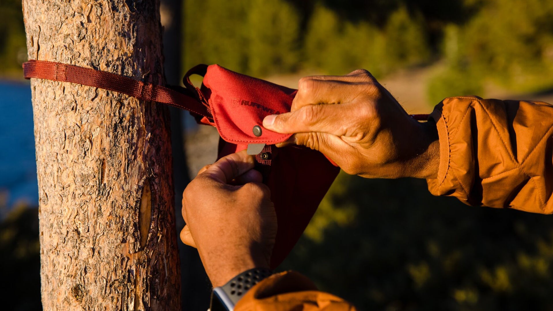 Knot a Hitch Dog Tether For Camping Ruffwear