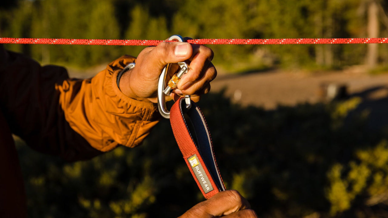 Knot-a-Hitch™ Dog Tether For Camping | Ruffwear