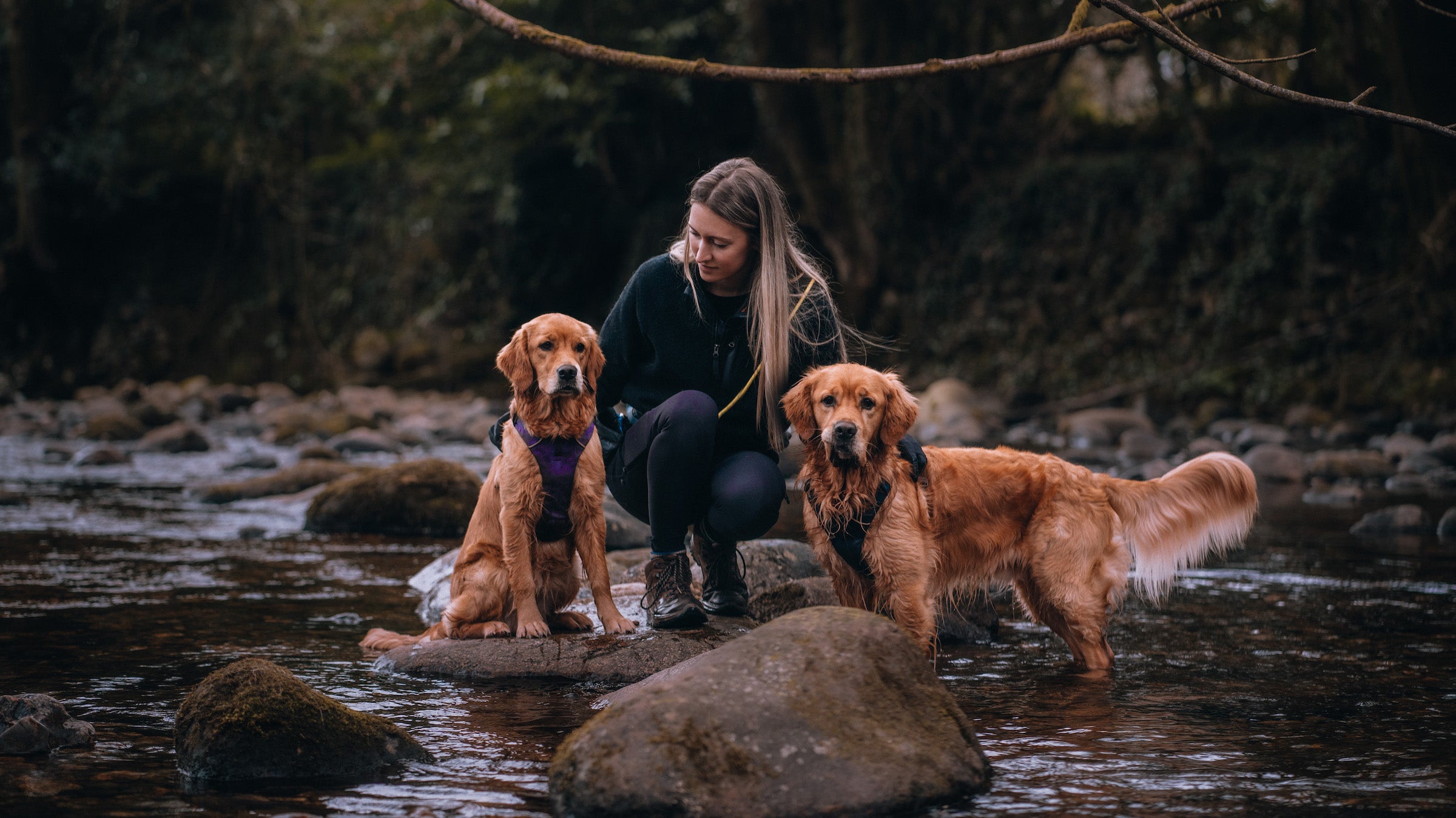 Our Ambassadors Sharing our adventures beliefs Ruffwear