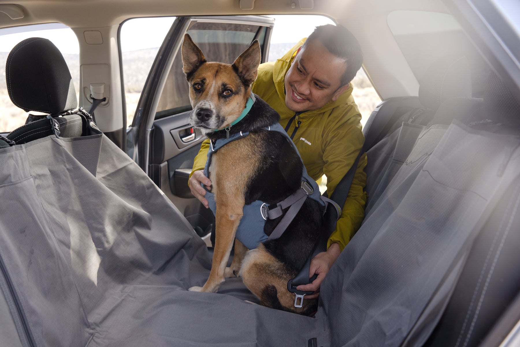 Dog vehicle clearance harness