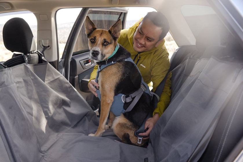 Load Up™ Dog Car Harness, Crash-Tested, Strength-Rated
