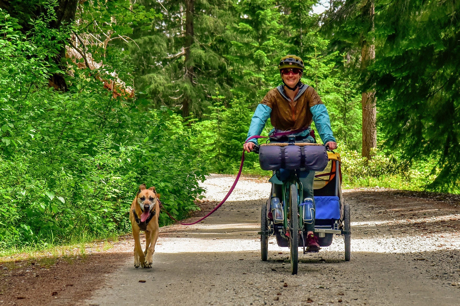 Mountain bike dog leash hotsell