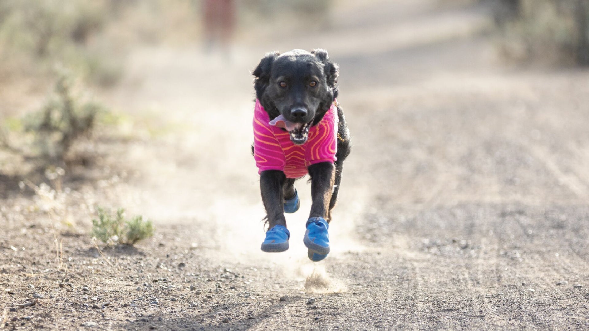 Hi Light Dog Shoes for the Trail Ruffwear