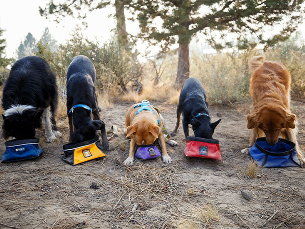 Ruffwear quencher dog clearance bowl