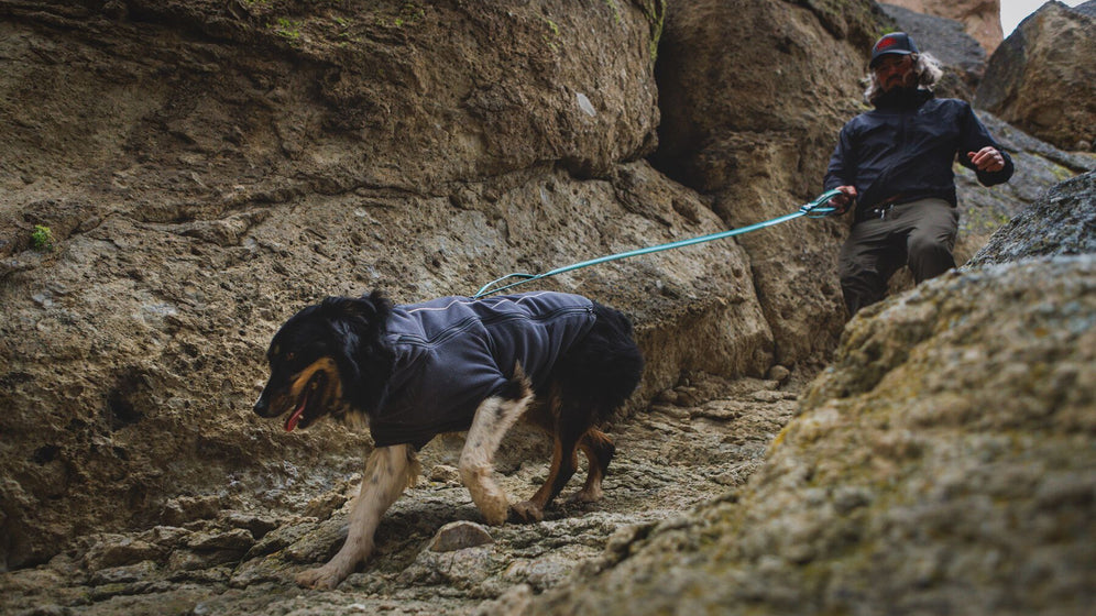 Comment utiliser le clip de verrouillage Talon™ Video Thumbnail