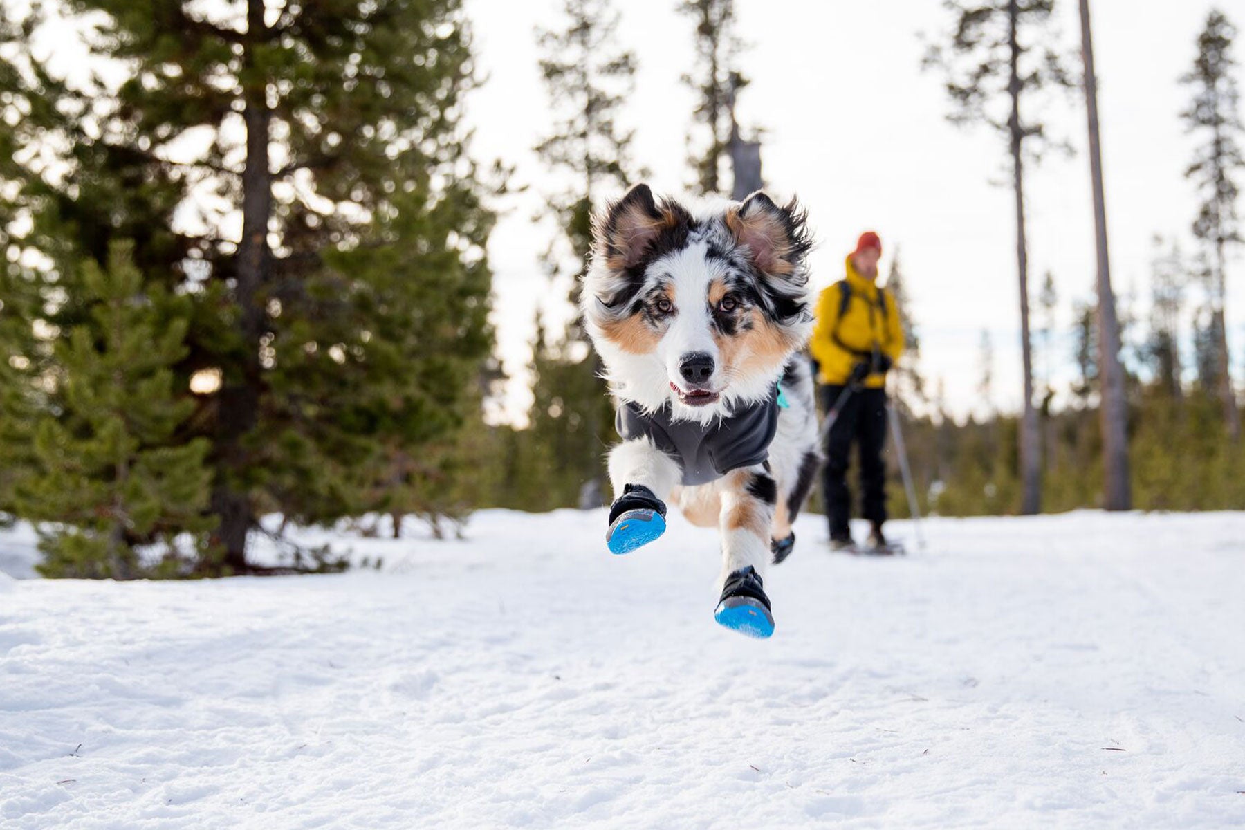 Dog Boots Shoes Socks Paw Protection For Dogs Ruffwear