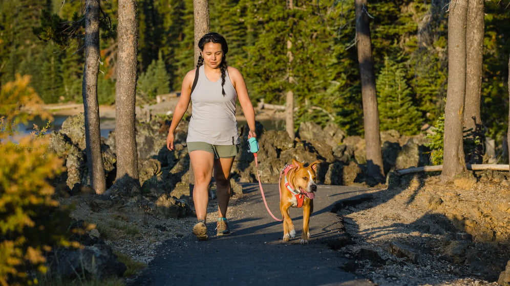 À propos du Stash Bag Mini™ Video Thumbnail