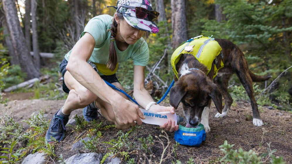 Trail Runner Ultralight Dog Bowl Ruffwear