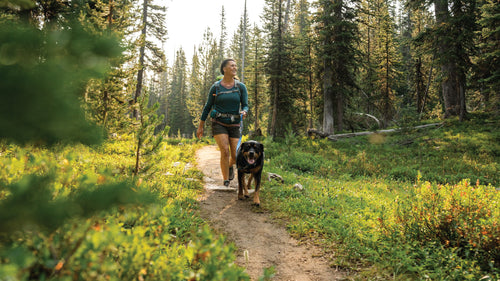 Woman hikes with dog through forest.