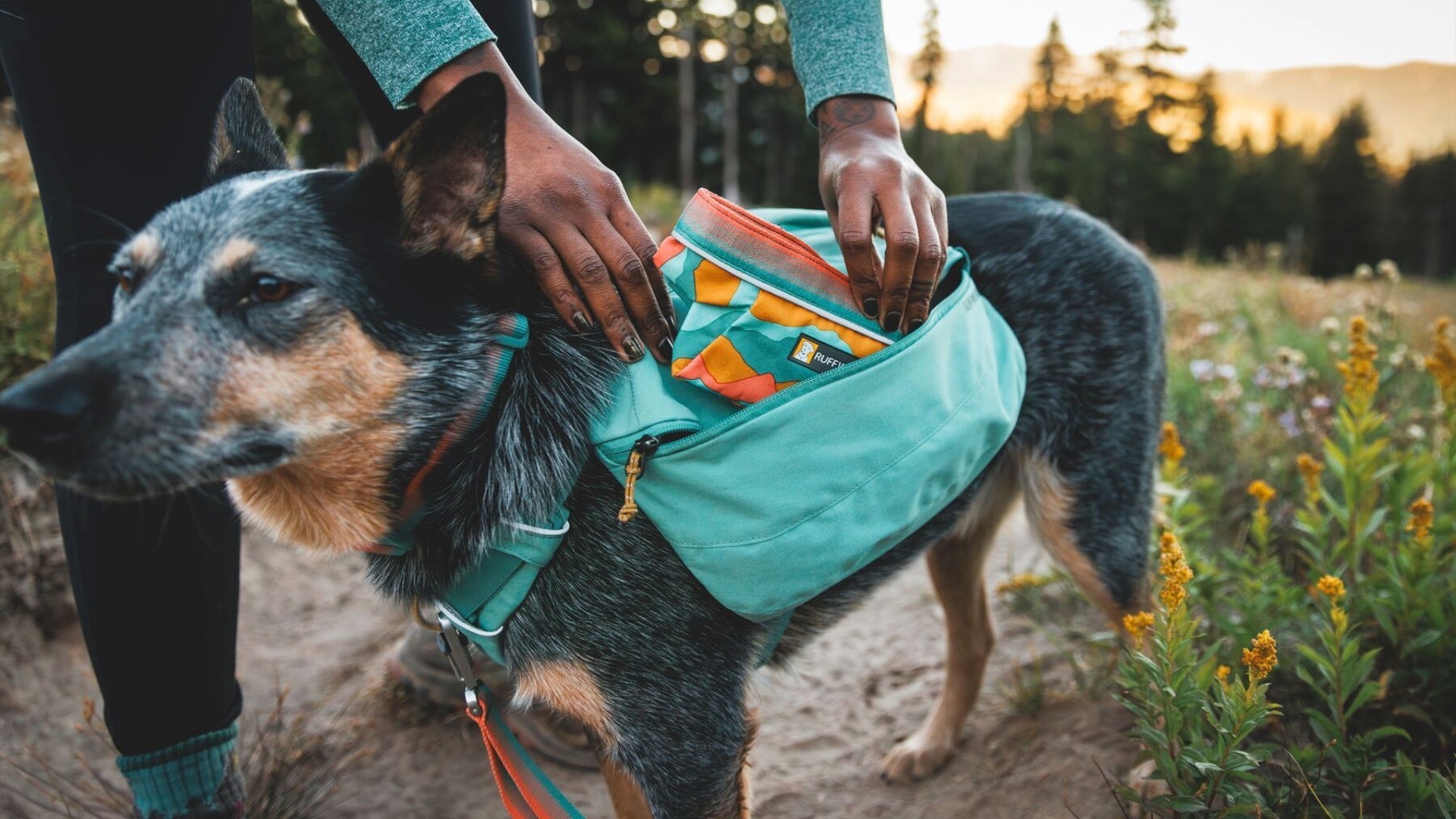 Front Range Day Pack Ruffwear