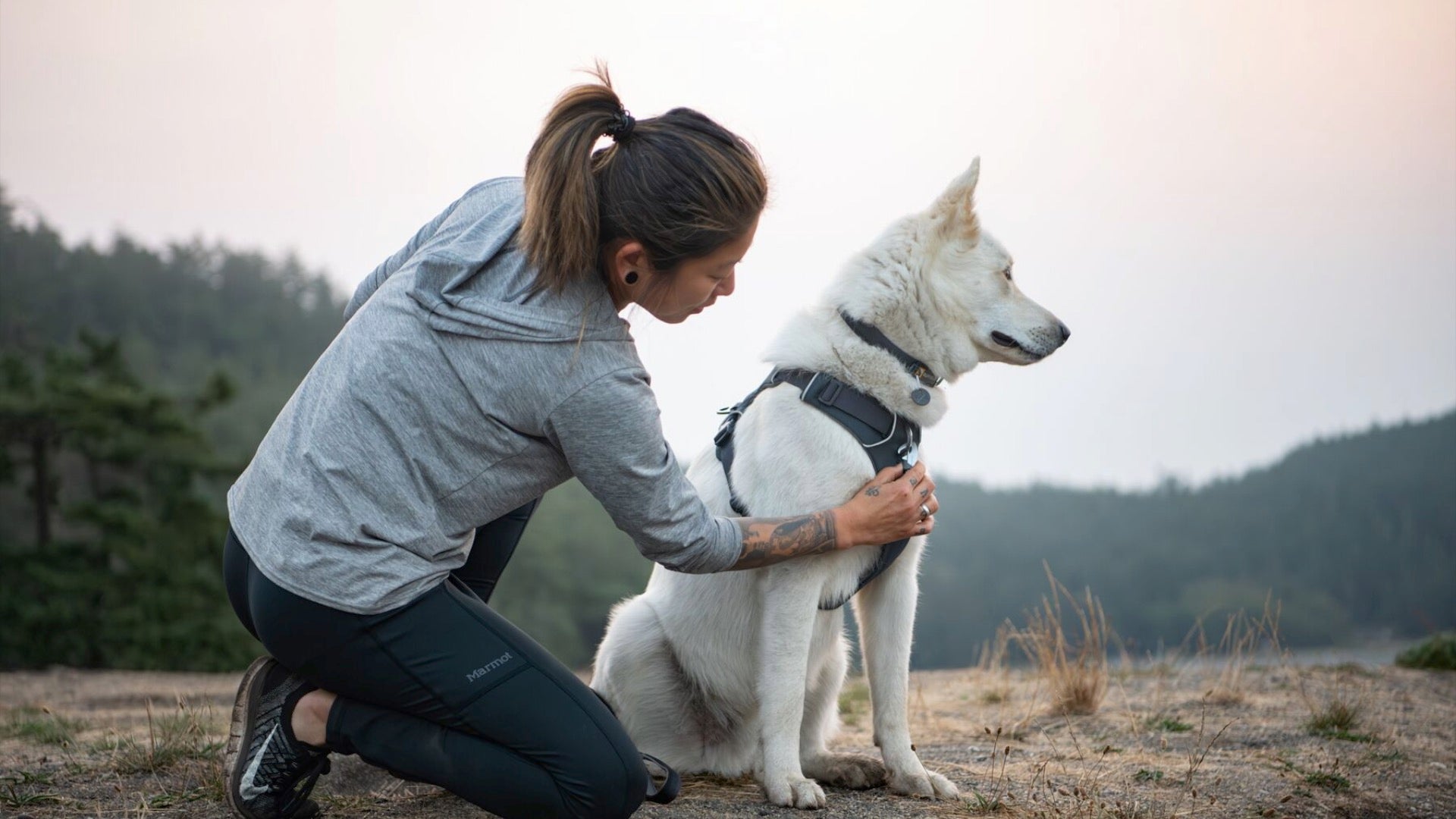 Front Range Dog Harness Ruffwear