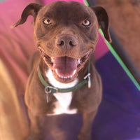 Timmy sits on mat and smiles at camera.