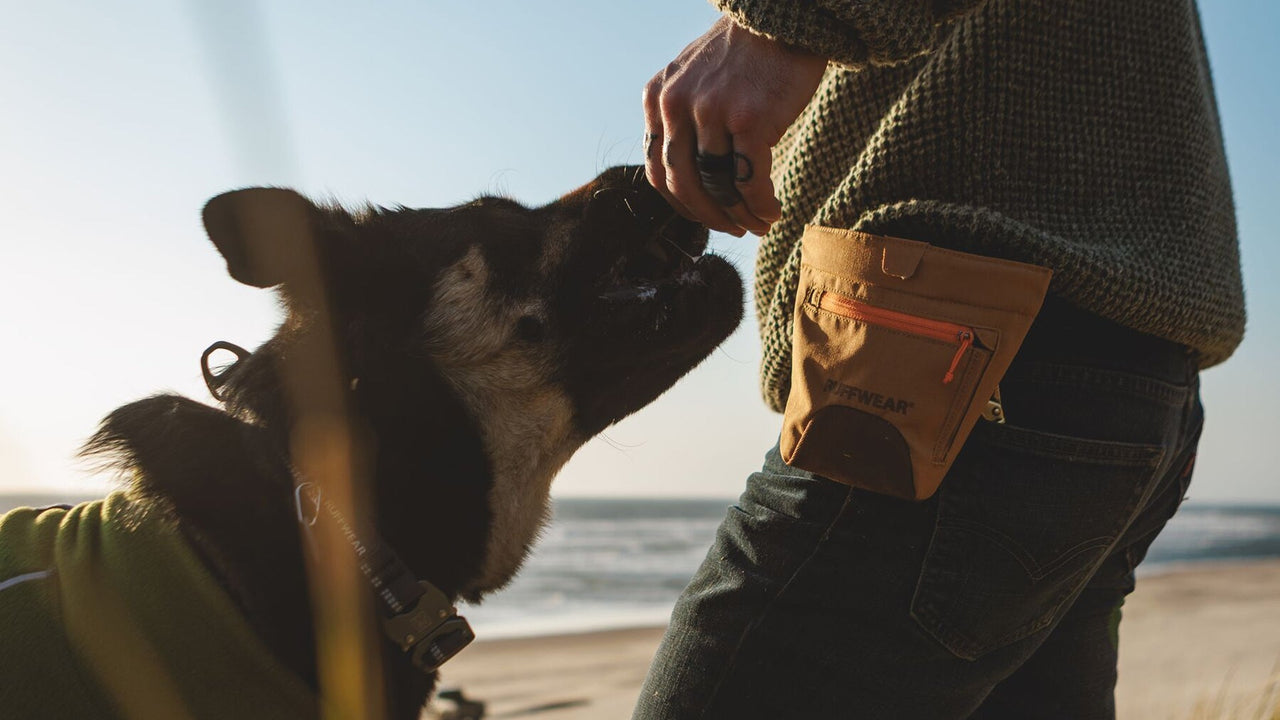 SCHNELLER ZUGRIFF AUF LECKERLIS