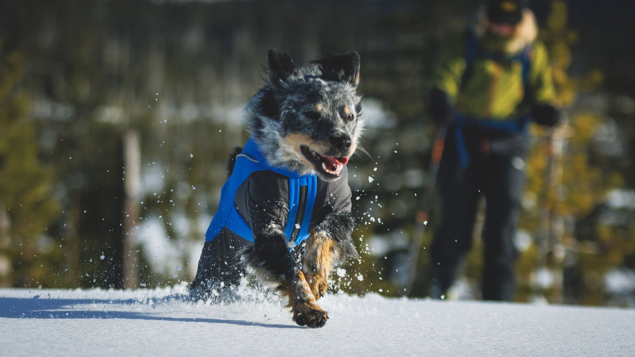 LIBERTÉ DE MOUVEMENT
