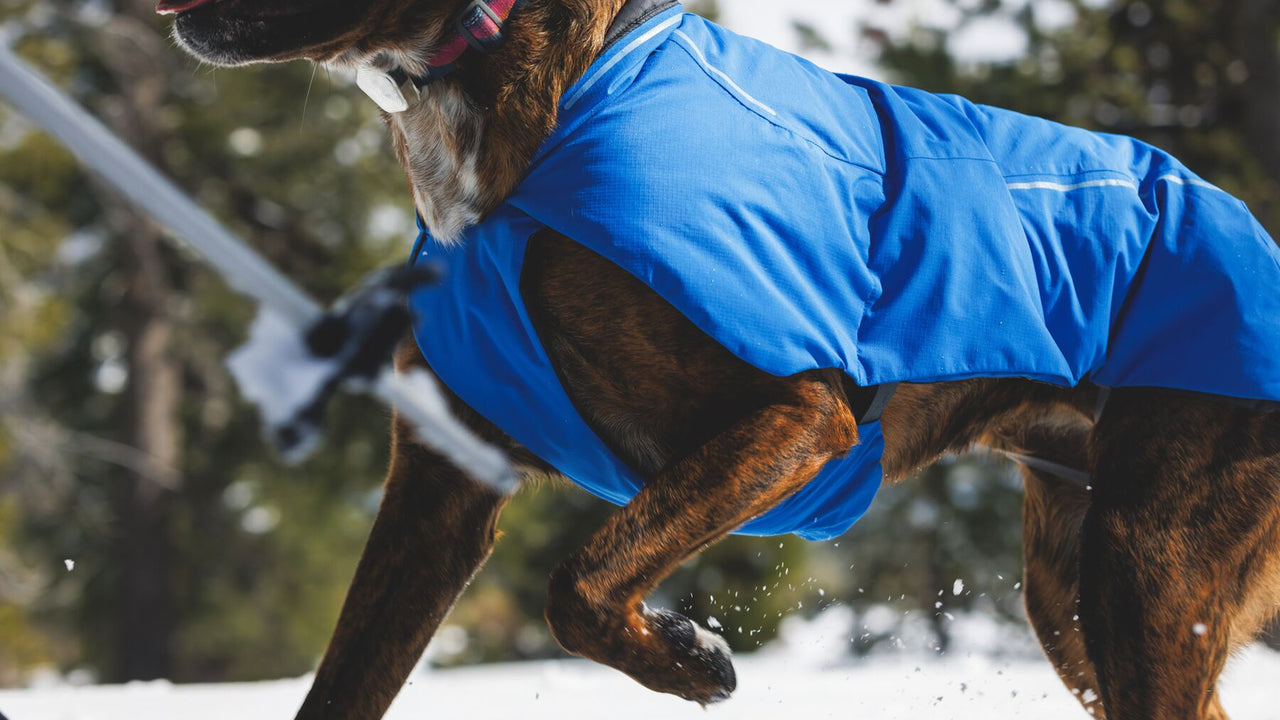 ISOLATION EXCEPTIONNELLE