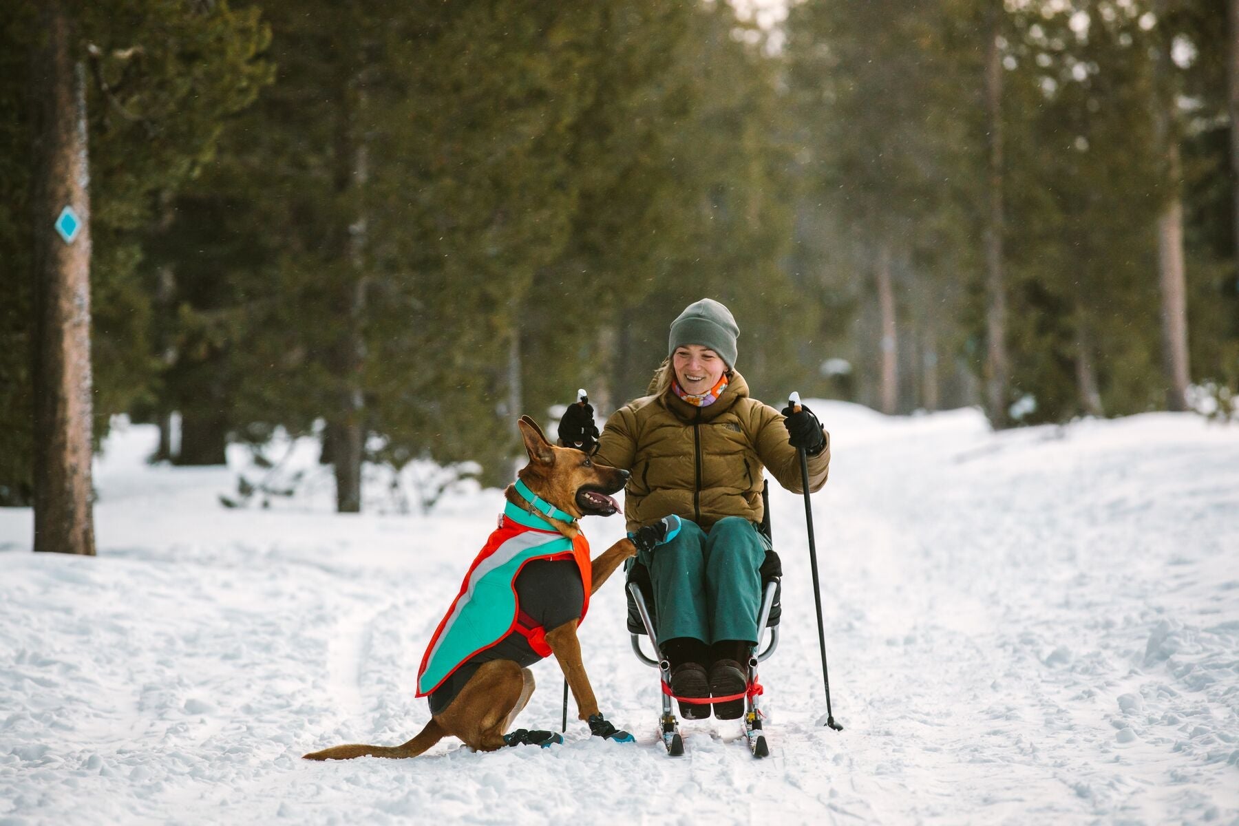 Dog coats deals with sleeves