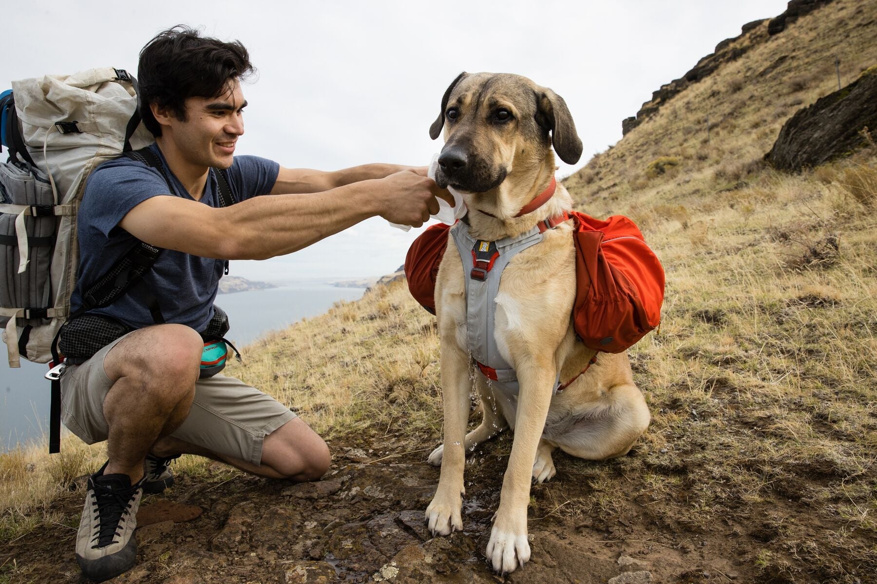 Camping stuff for dogs 2025